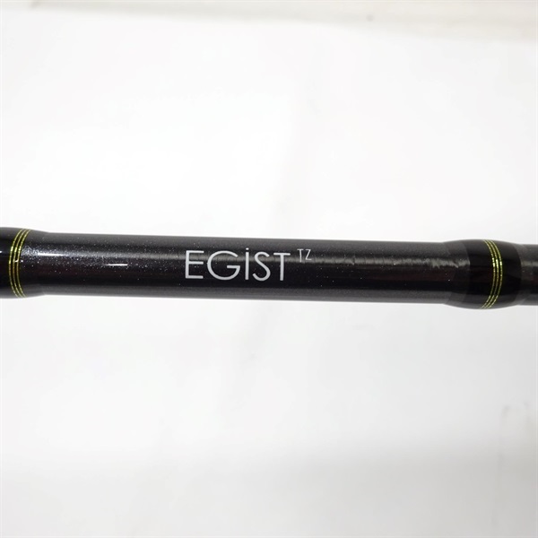 ２３　ＥＧＩＳＴ　ＴＺ７７ＭＬ